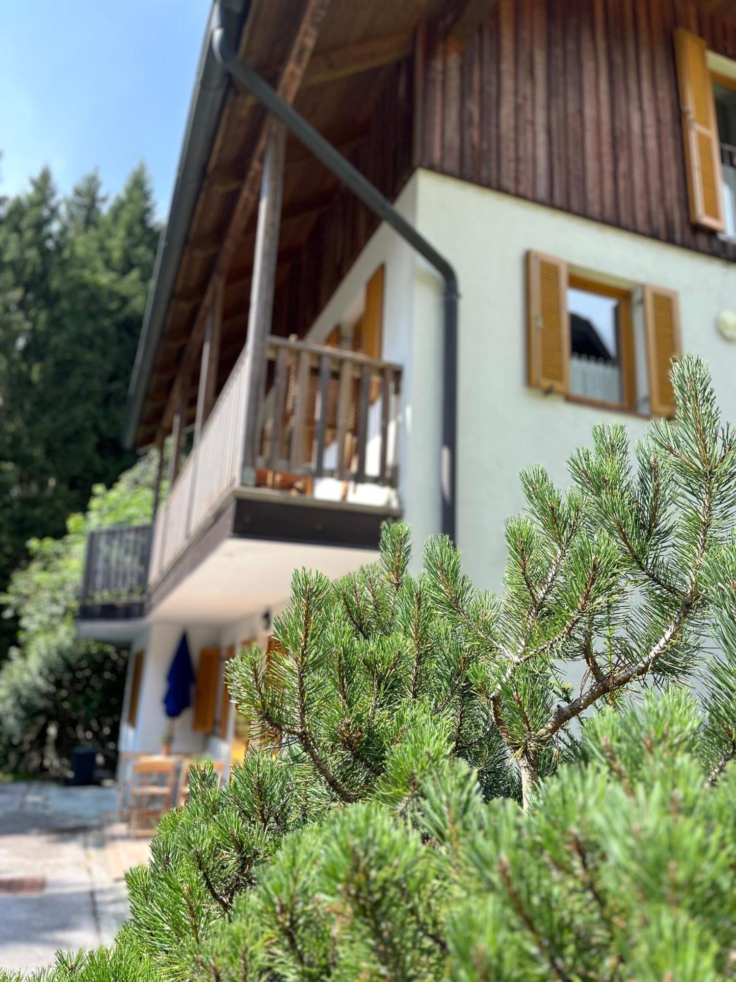 Chalet Harmony Rogla - Apartment Zreče Esterno foto